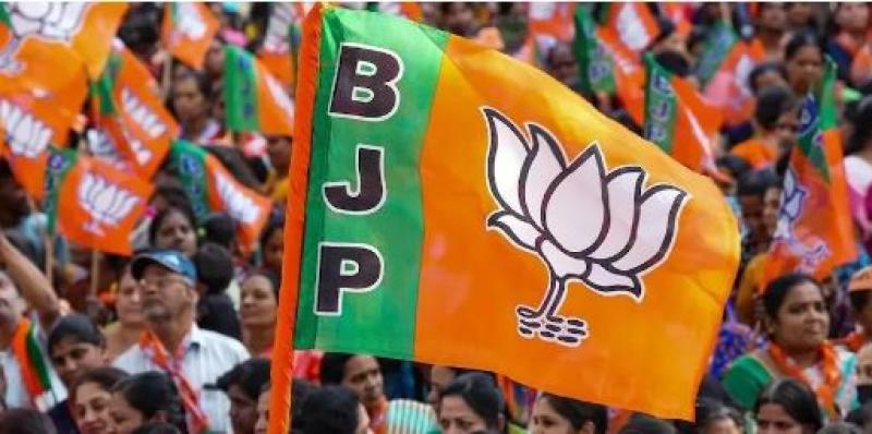 भाजपा ने नगर पालिका व पंचायत उम्मीदवारों की सूची की जारी 