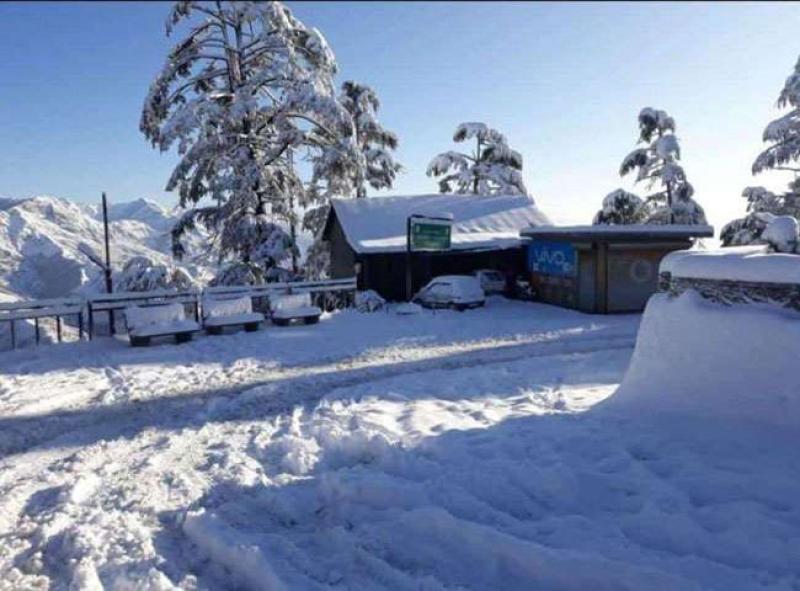 बर्फ की सफेद चादर में लिपटी मसूरी से लेकर औली, चकराता और नैनीताल की वादियां 