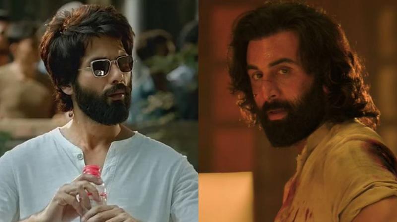 फिल्म निर्देशक संदीप रेड्ड वांगा ने फिल्म 'एनिमल' में शाहिद कपूर के बजाए रणबीर कपूर को क्यों लिया था, यहां जानिए वजह  