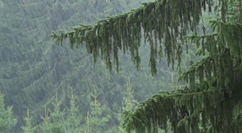 मैदानी और पर्वतीय जिलों में तेज बारिश के साथ ओलावृष्टि की चेतावनी
