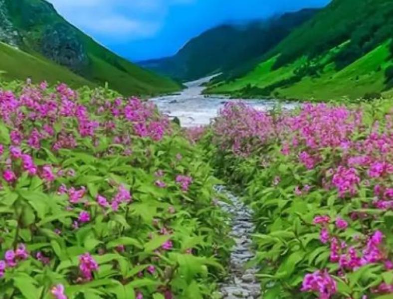 नंदा देवी राष्ट्रीय उद्यान के अंतर्गत आने वाली विश्व धरोहर फूलों की घाटी एक जून से पर्यटकों के लिए खोल दी जाएगी।