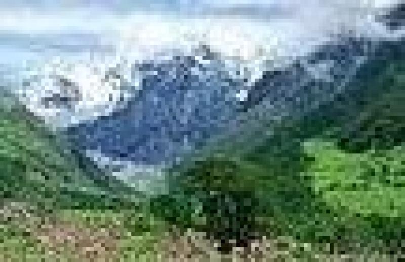 फूलों की घाटी एक बार फिर पर्यटकों के लिए खुली