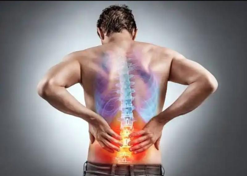 स्लिप डिस्क से हैं परेशान? तो इन योगासनों का करें अभ्यास, मिलेगी राहत