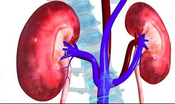 हाई ब्लड प्रेशर और शुगर बढ़ा सकते हैं किडनी रोग का खतरा, विशेषज्ञों ने दी चेतावनी