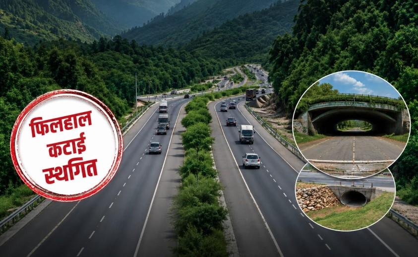 सरकार का बड़ा फैसला- देहरादून-ऋषिकेश फोर/सिक्स लेन परियोजना में फिलहाल नहीं कटेंगे पेड़